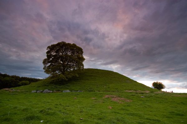 Best Hiking Trails in Meath: Your Complete Guide to Royal County Adventures
