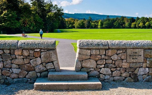Best Hiking Trails in Wicklow: Your Complete Guide to the Garden of Ireland