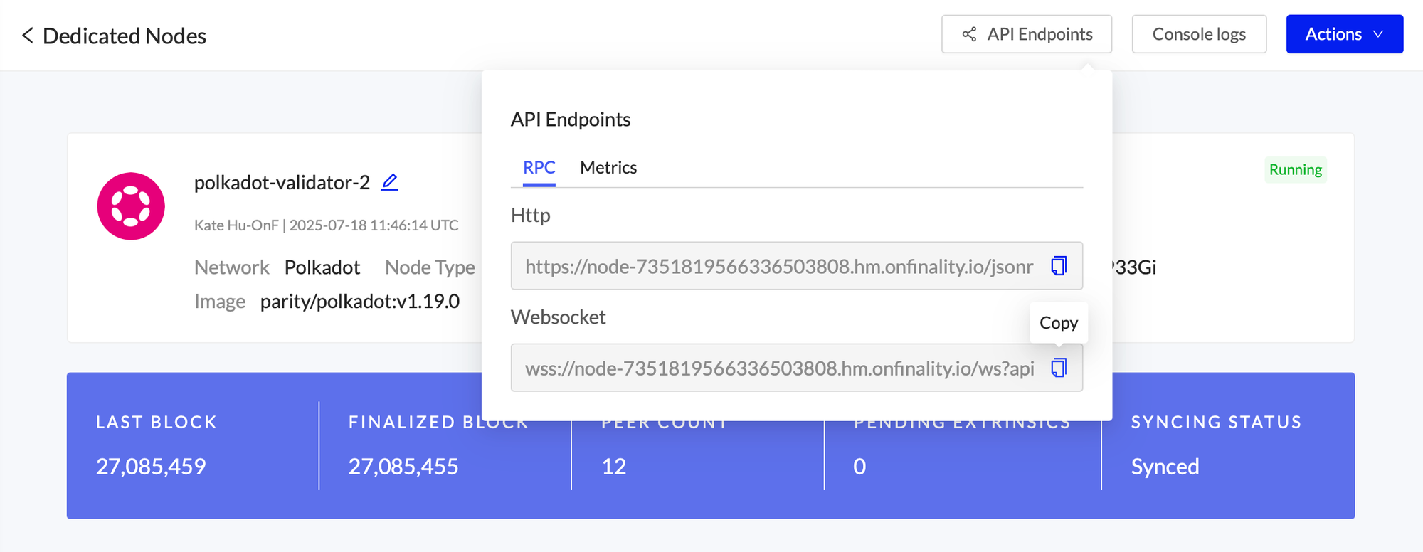 Deploy Polkadot Validator in OnFinality | Open API Endpoints > RPC Web Socket