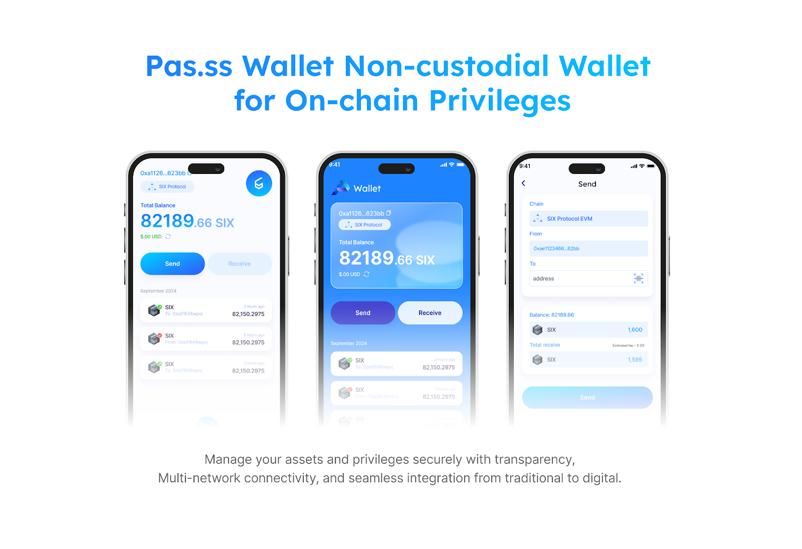 Manage your assets and privileges securely with transparency - SIX Network's Pas.ss