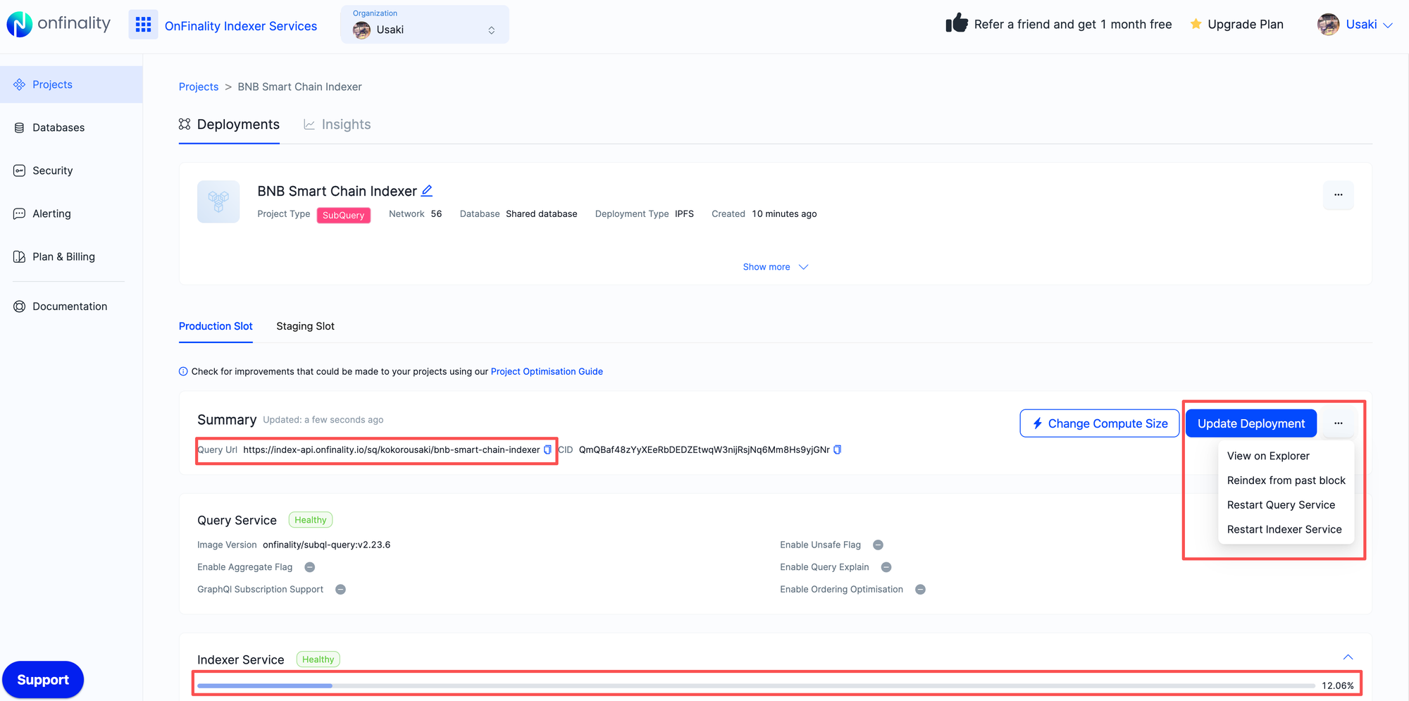 Get the Query URL from Summary. Follow Update Deployment > View on Explorer menu items. View indexer status bar under Indexer Service header