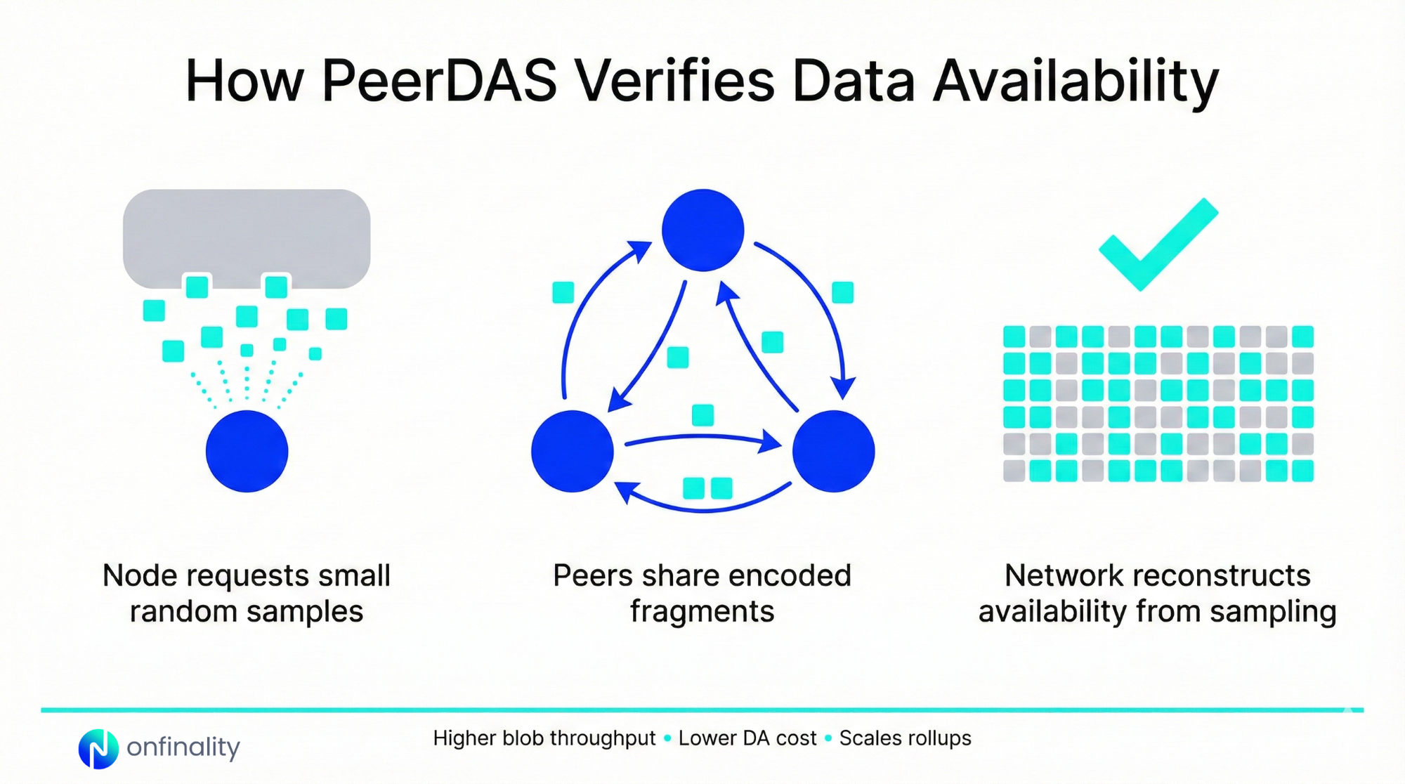 Diagram showing PeerDAS verifying data by sampling nodes, sharing fragments, and reconstructing availability.