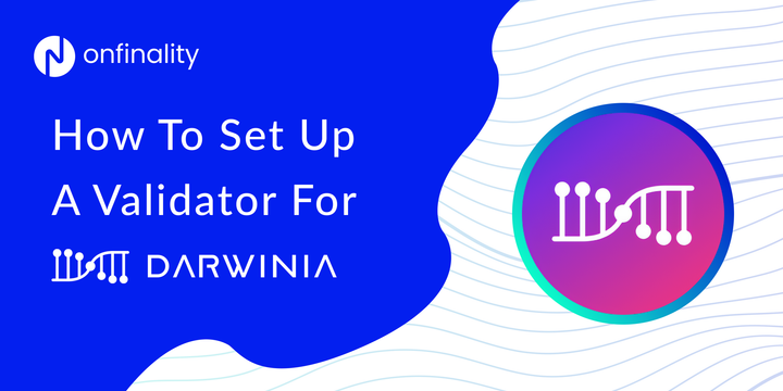 How To Set Up A Validator For Darwinia On OnFinality