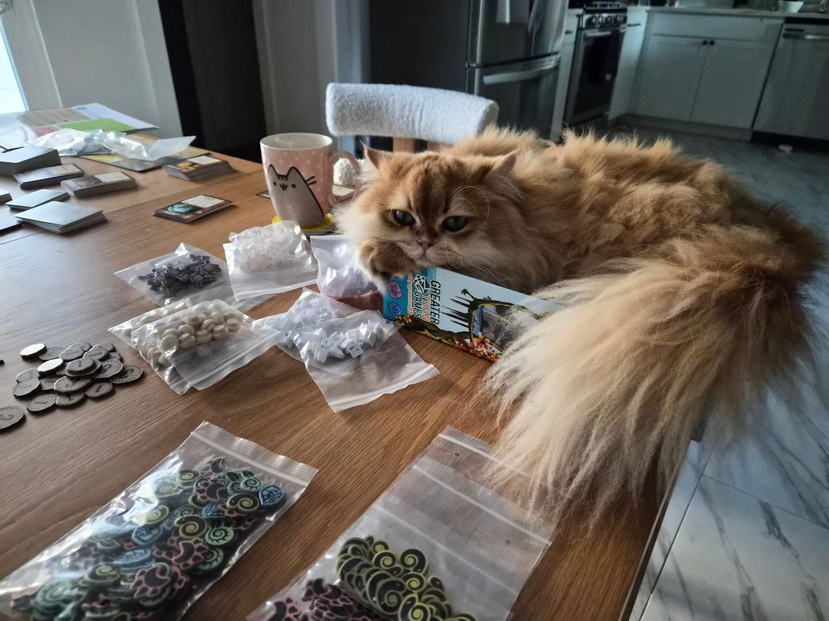 My new blanket project & a couple other things