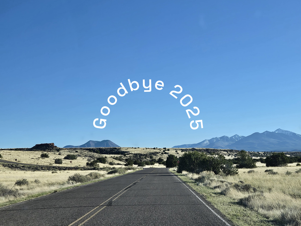 A look back at 2025