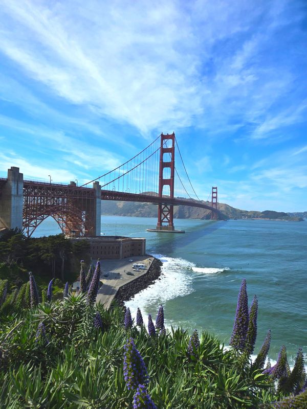 Not-so-sunny San Francisco 🥶