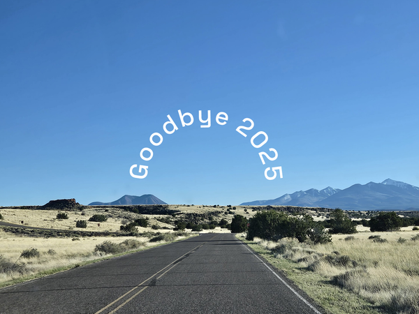 A look back at 2025