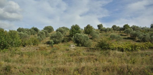 Small concrete dome bunker in the middle of a green field with small trees, under a blue sky with clouds.