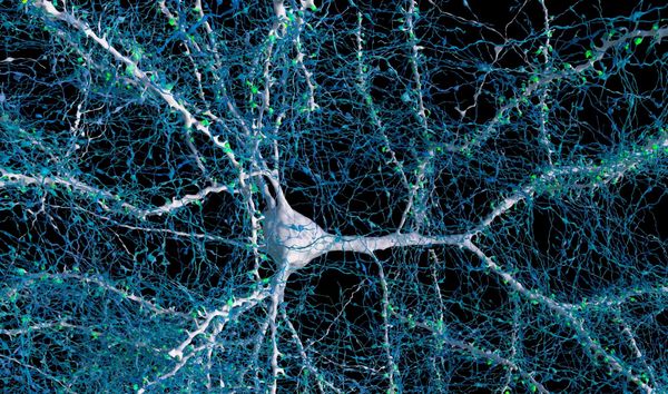 Recent-ish Reads, May 8, 2025