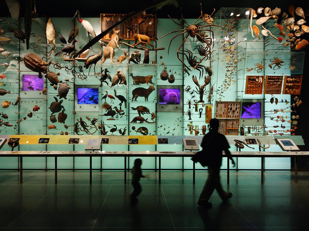 The Business of Biodiversity