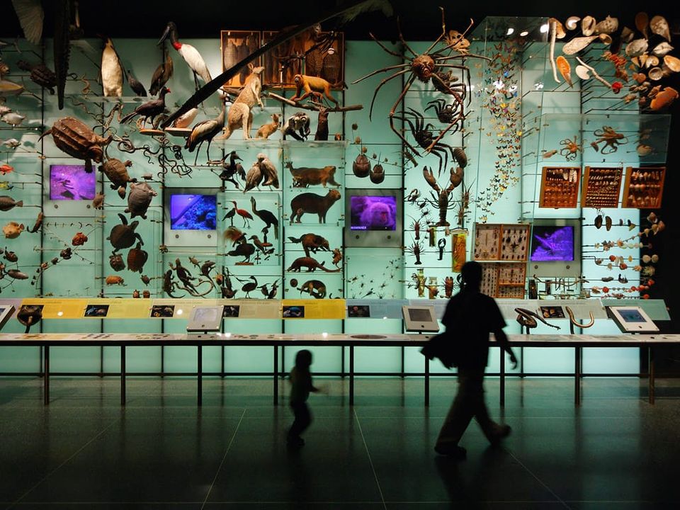 The Business of Biodiversity