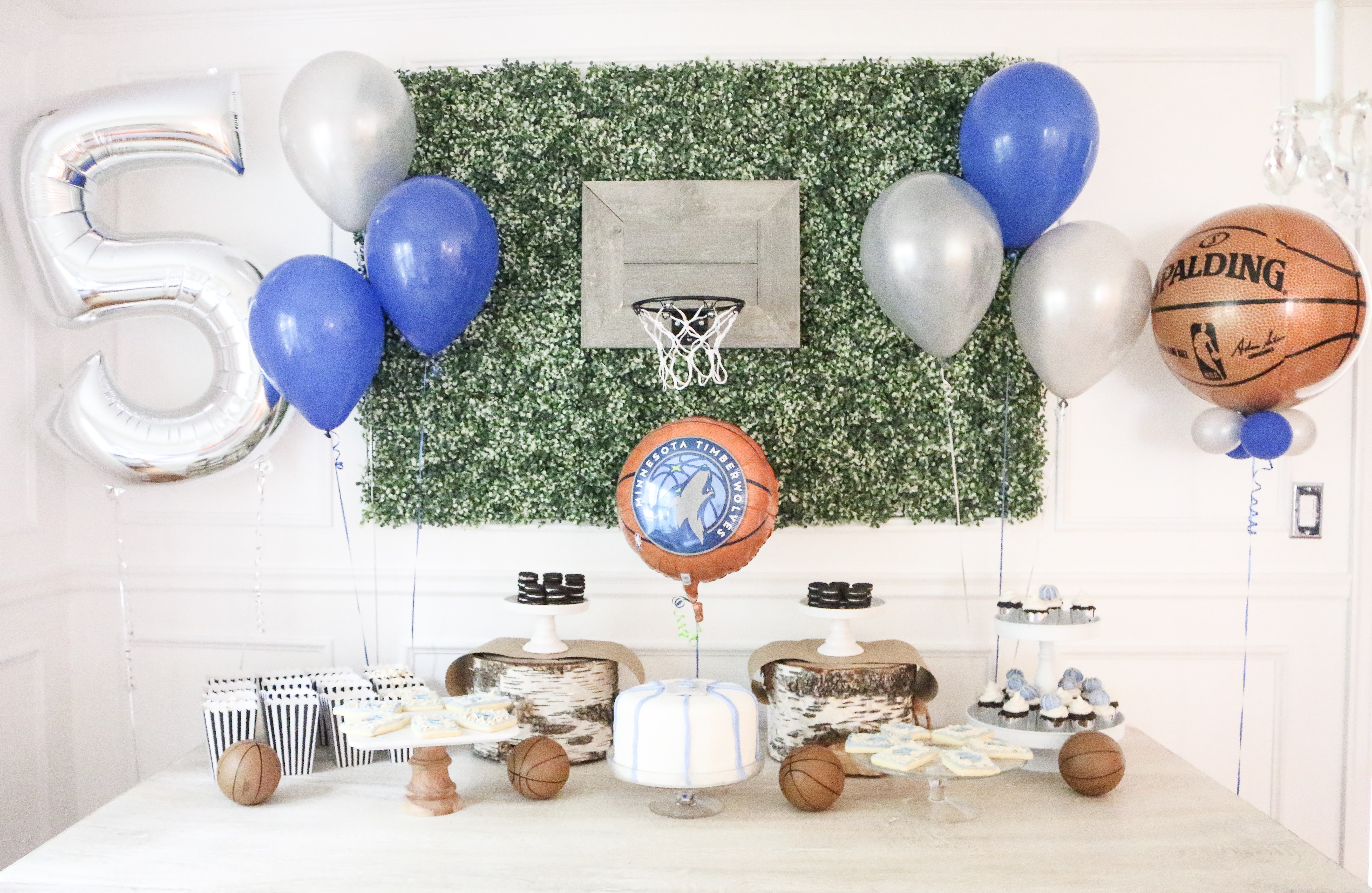 Camden's Timberwolves Basketball Birthday Party