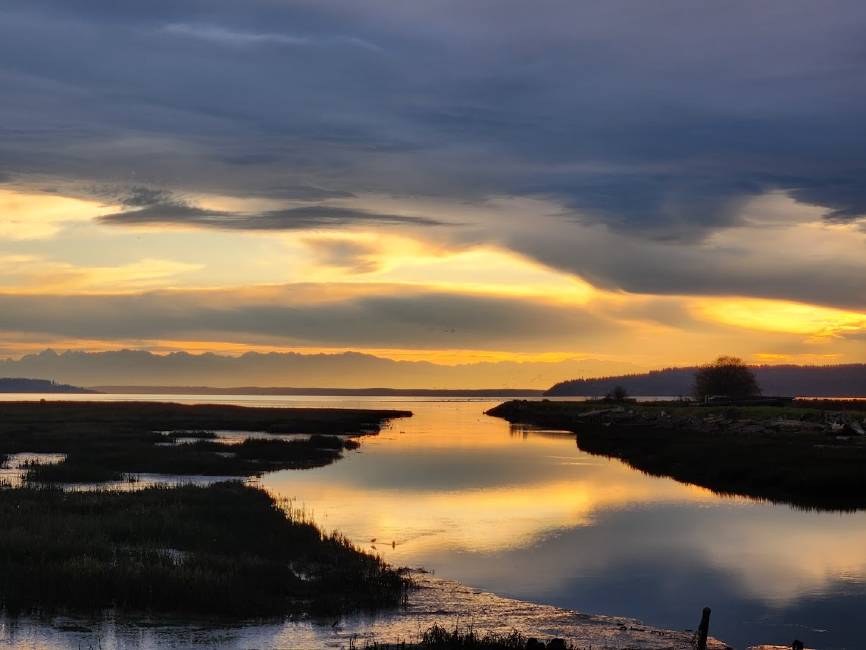 mountains and bay at dusk, slate sky at top, shading into patches of yellow, reflected by the water with dark clumps of land