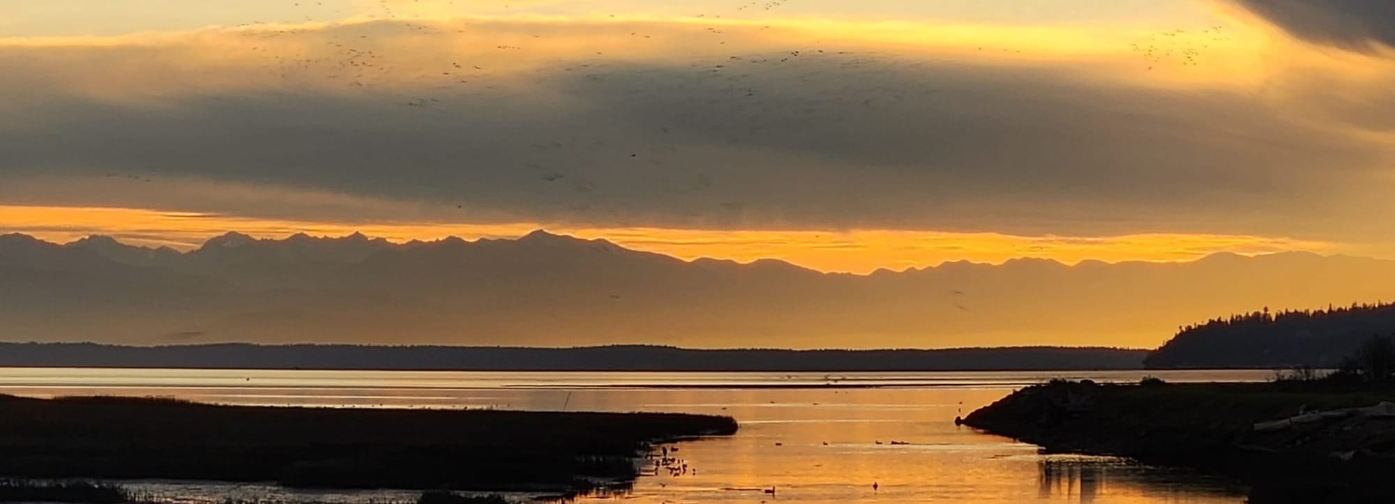 Adam M. Sowards  —  Taking Bearings 