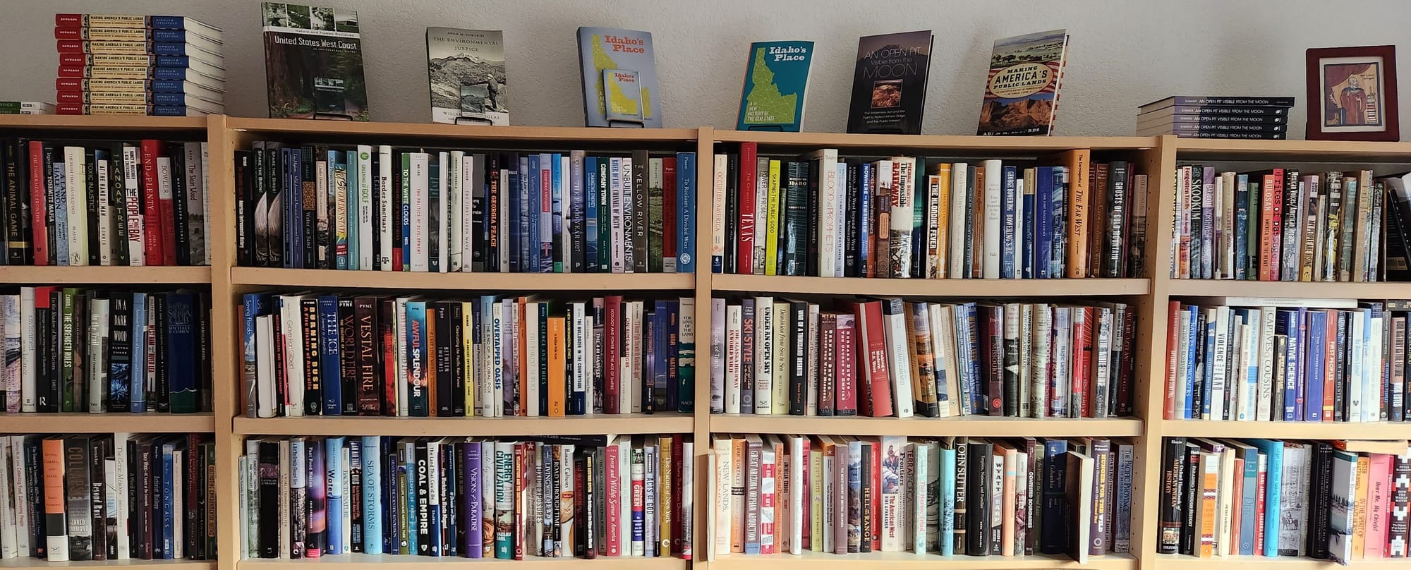 book shelves full of history books