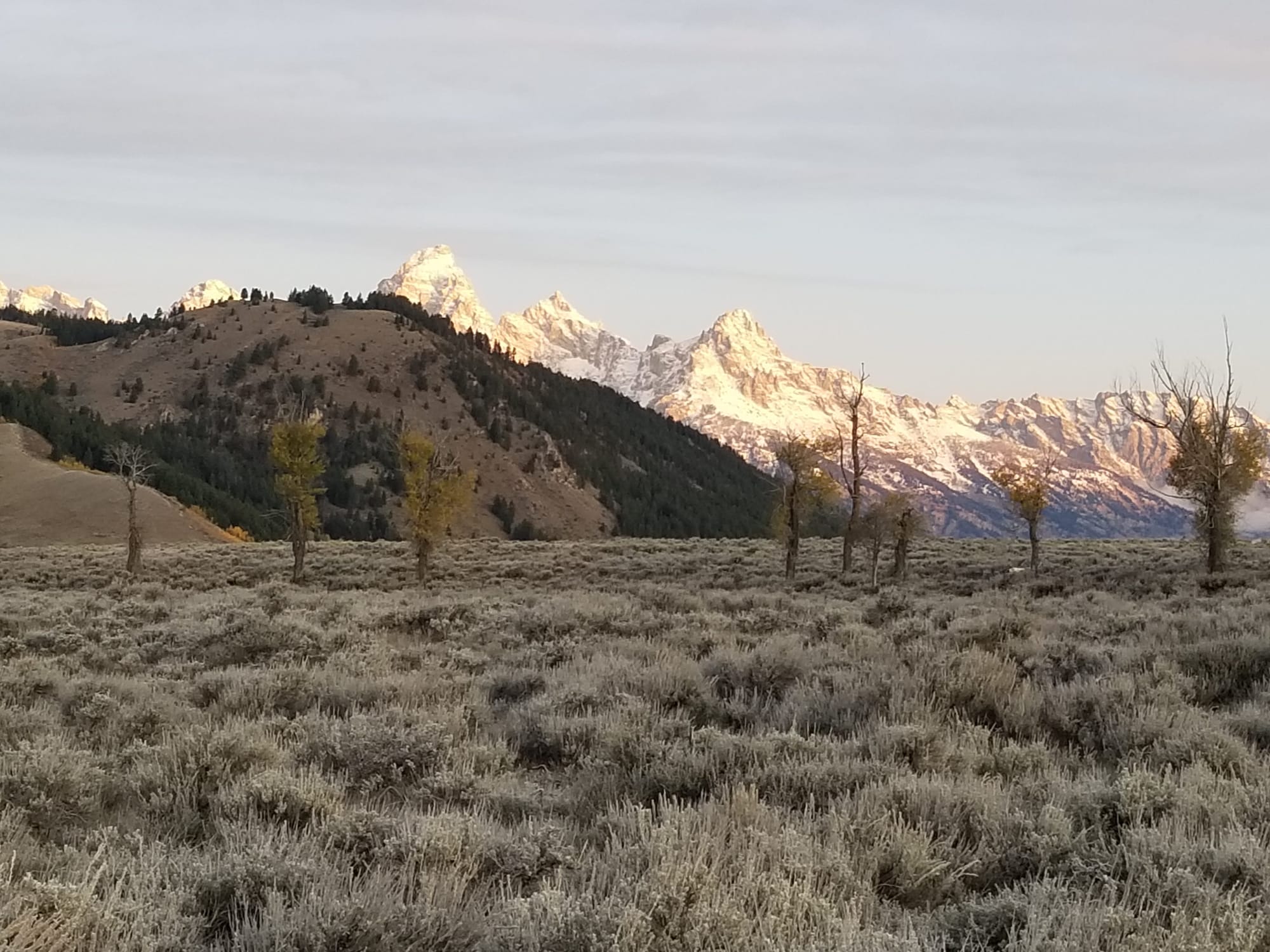 Grand Tetons background in sun; sagebrush foreground shaded.