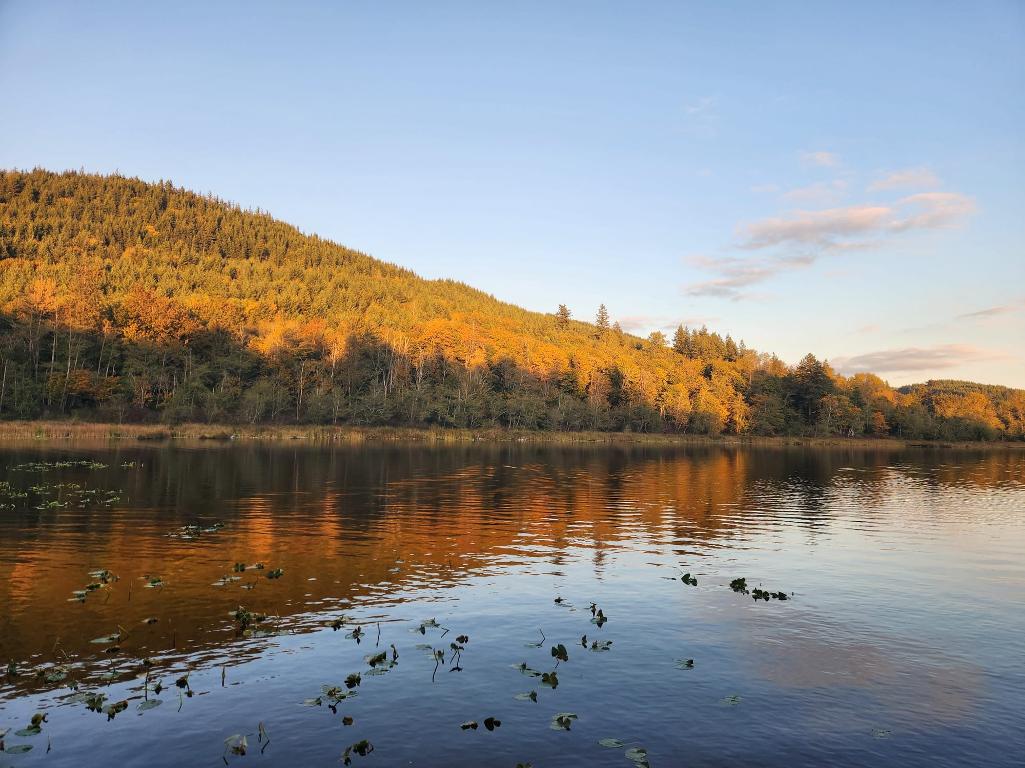 lake, hill covered in trees, half of them turning golden