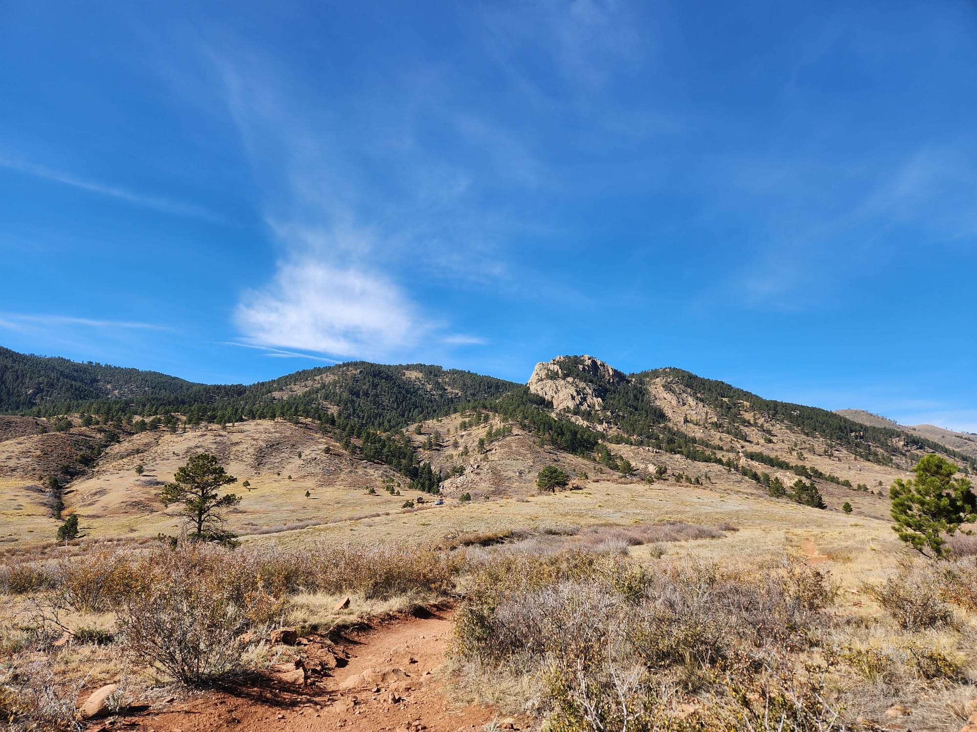 foothills lightly forested