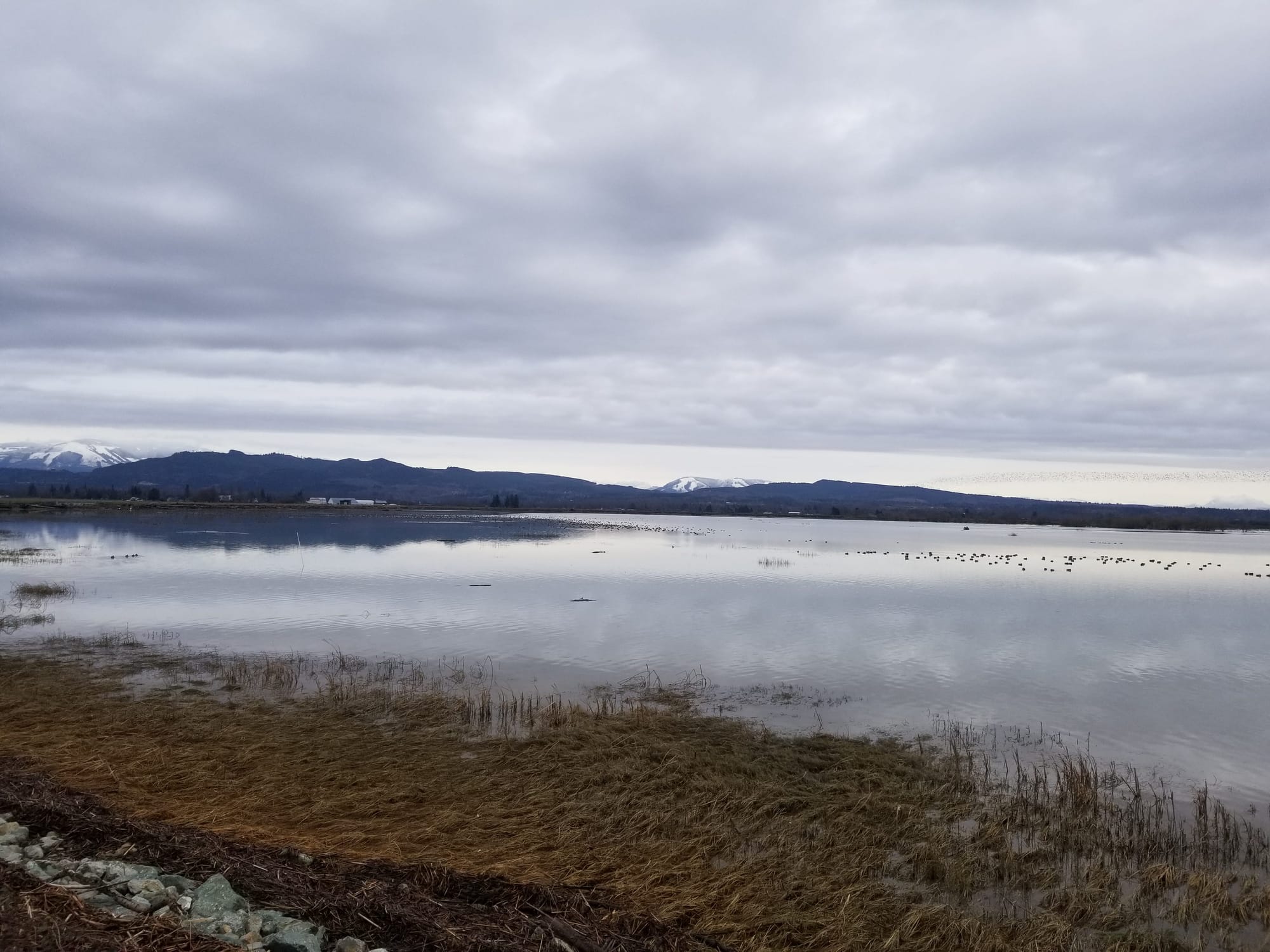 gray clouds, gray water at estuary shore with dark foothills in the background