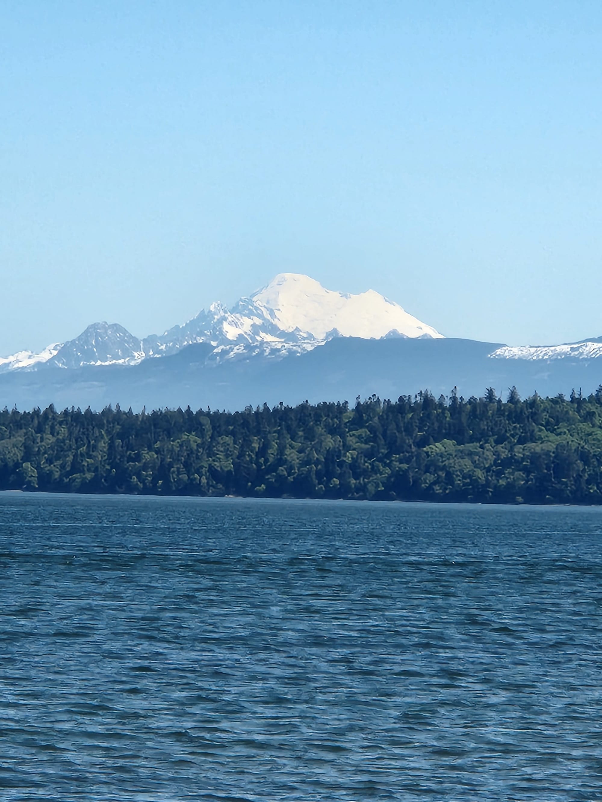 snow-capped volcano above water and forest