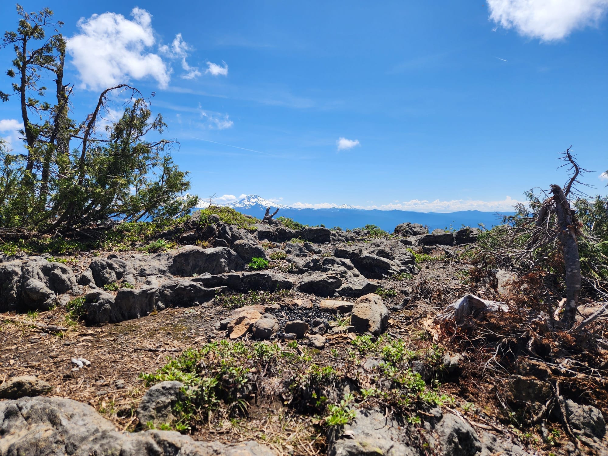 rocky ridgetop with a few plants and mountain view