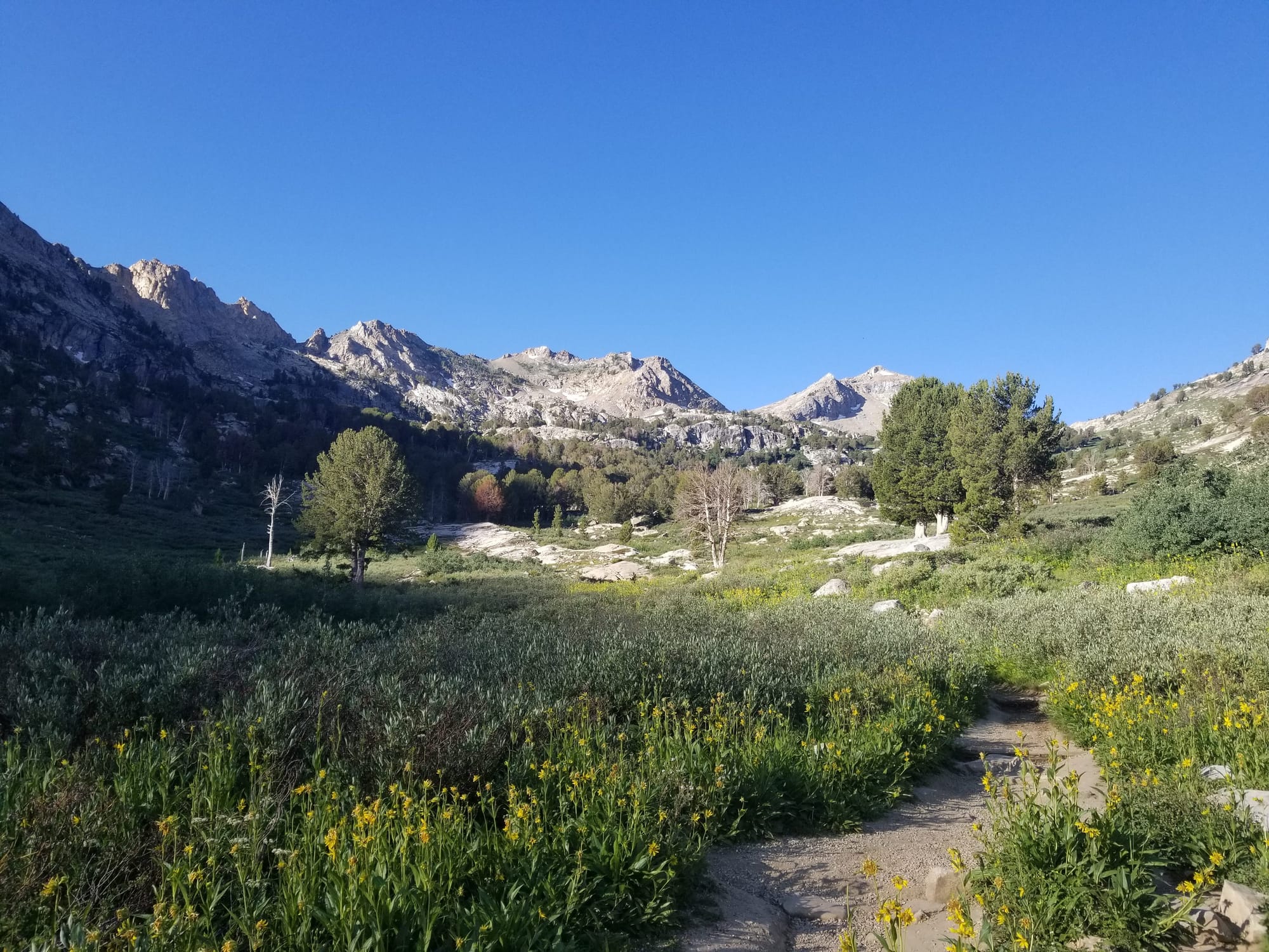 stony peaks, meadow, trail wandering through