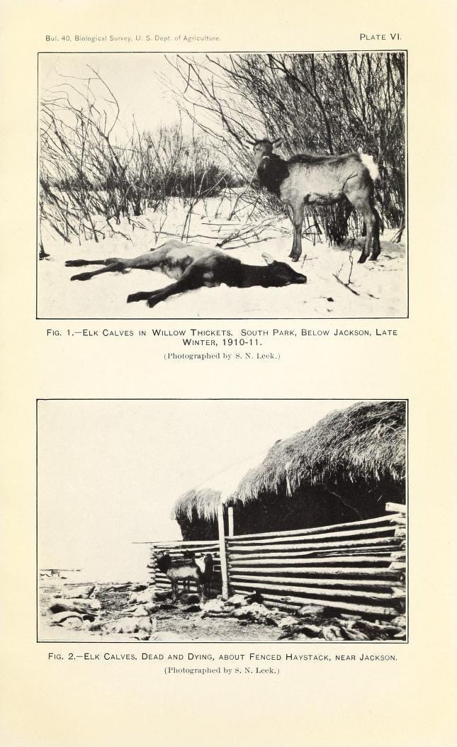Book page image