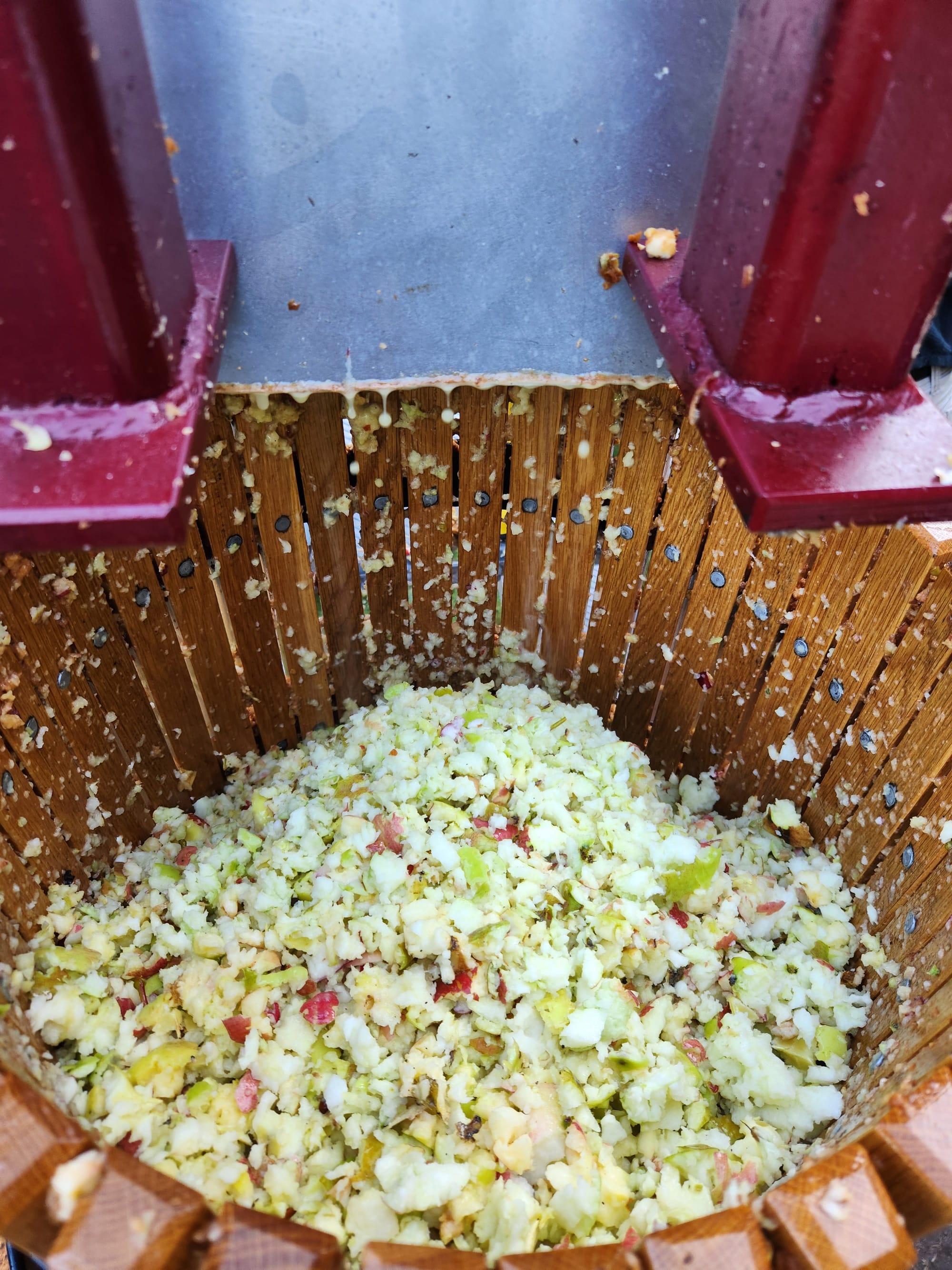 crushed pieces of apple in wooden tub 
