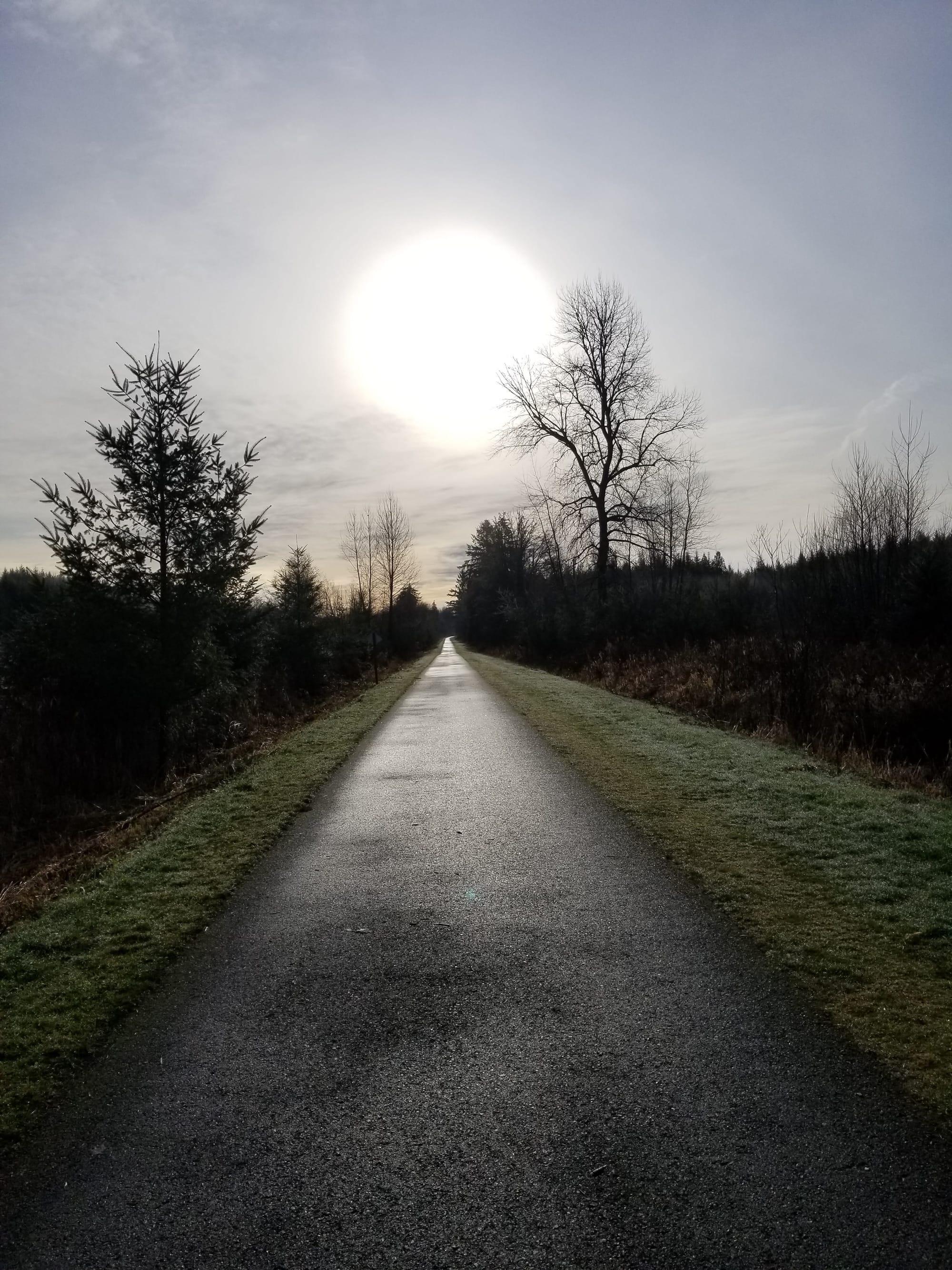sun above paved trail