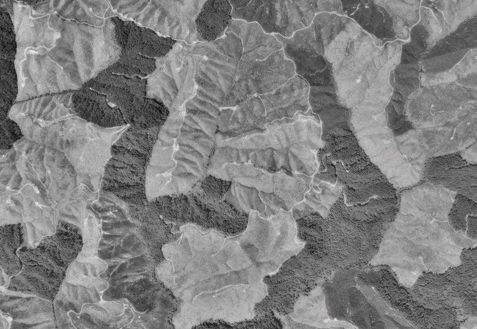 black and white aerial photo of clearcut forests