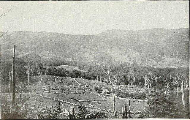 forested hills, partial clearing
