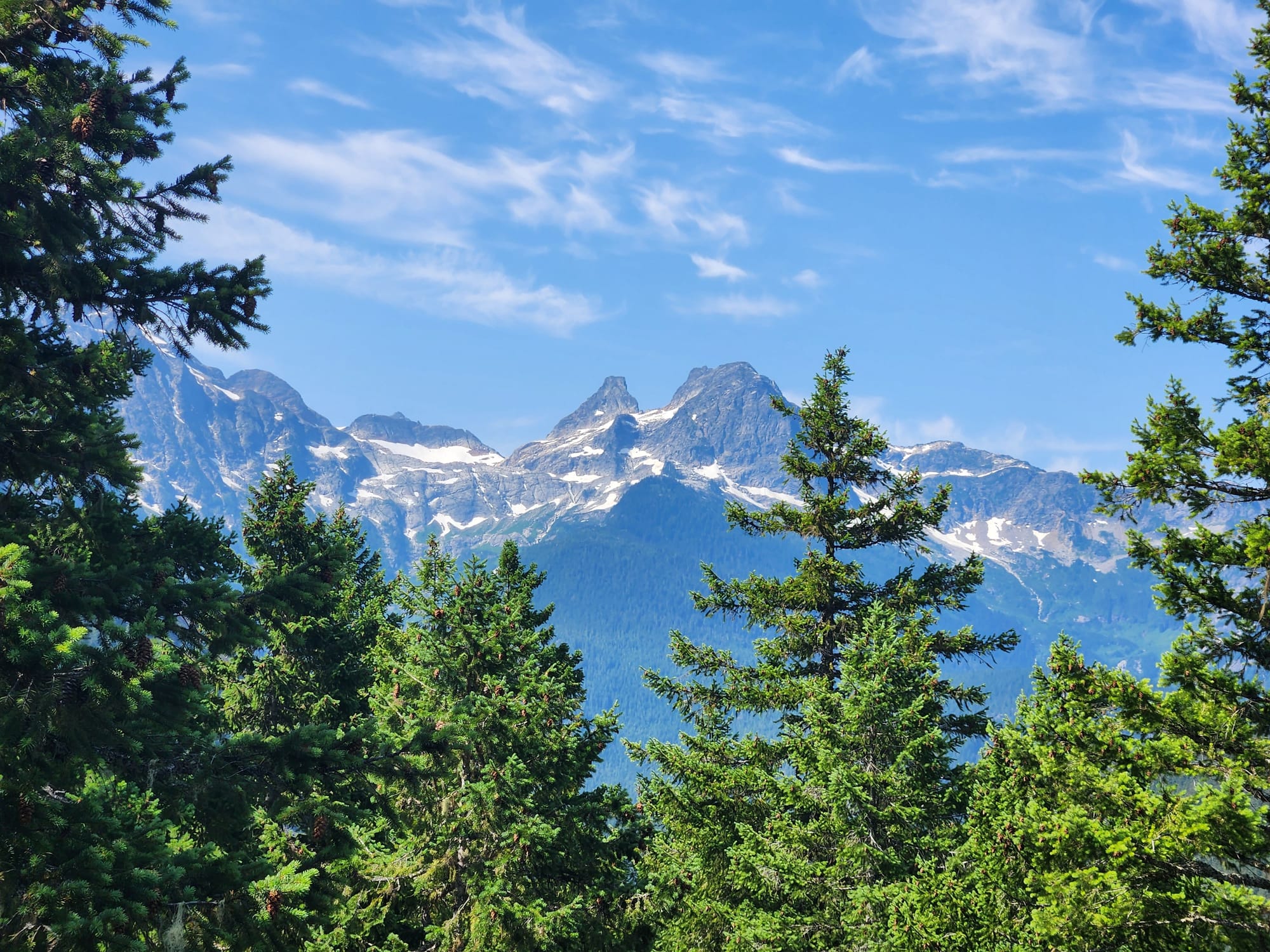 blue sky, gray mountain ridge, trees in foreground