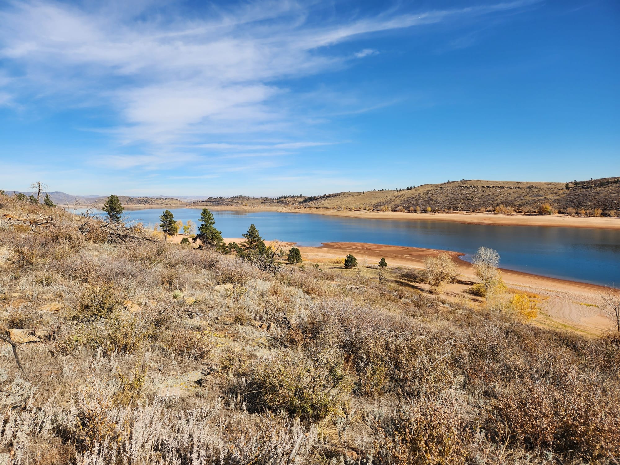 foreground brush, background blue reservoir