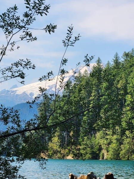 Finding Enough in the Forest