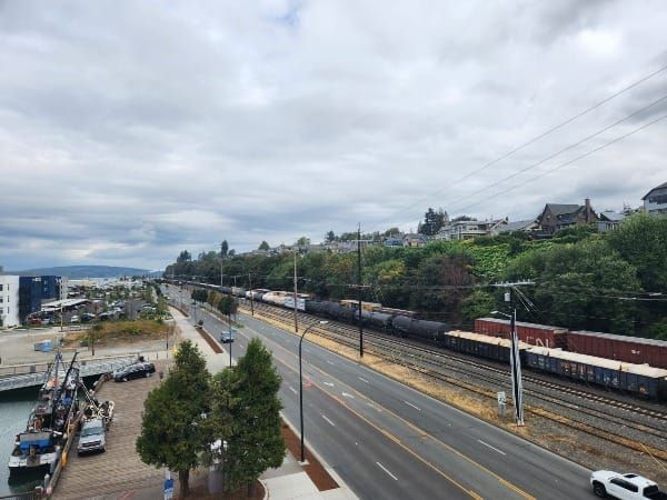 Down Historical Lane