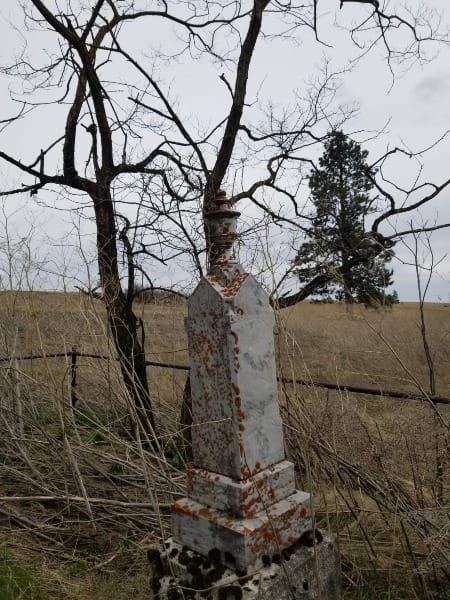 Among the Headstones