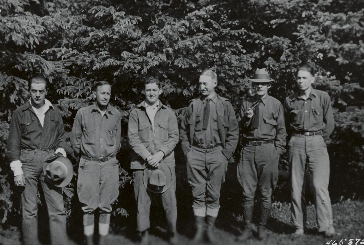 Dissenting Views of Fire and the Wild