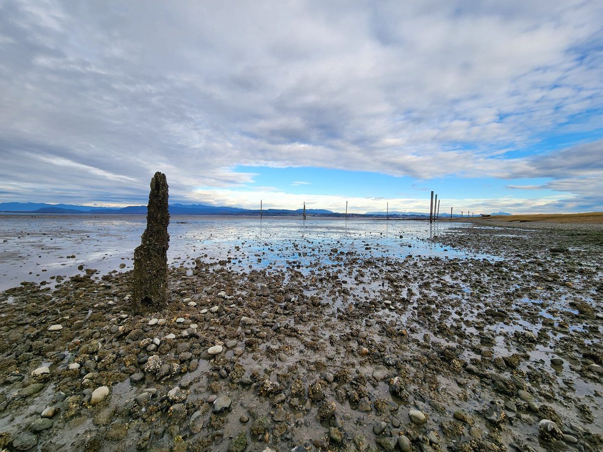 Nature and History by the Bay