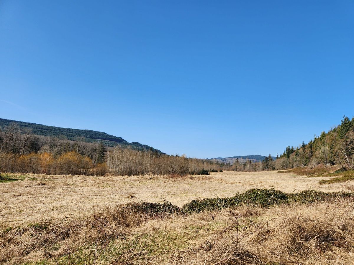 How a Small County Park Symbolizes All of Northwest History