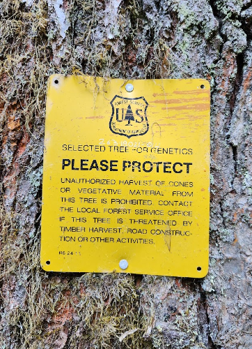 Dissenting from within Federal Agencies