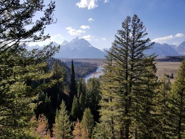 The State of the Parks