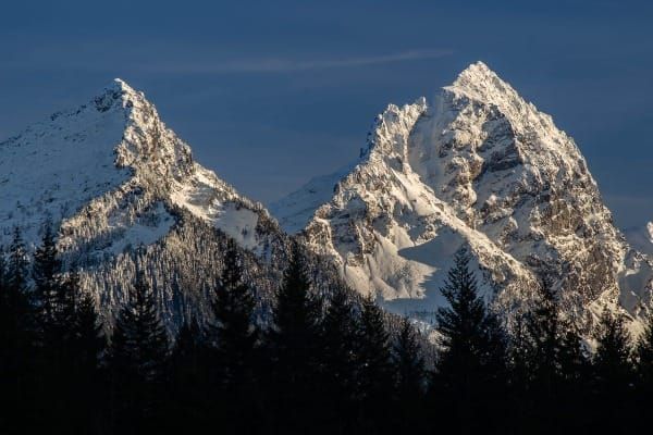 A Life in the Wilderness