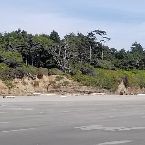 The Last Wilderness Endures