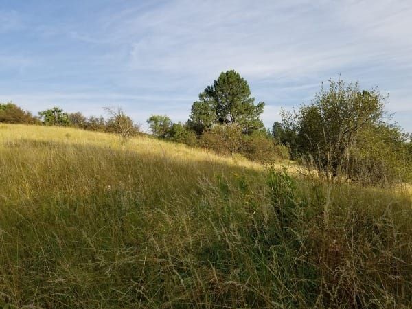 Reclaiming My Time at Rose Creek Preserve