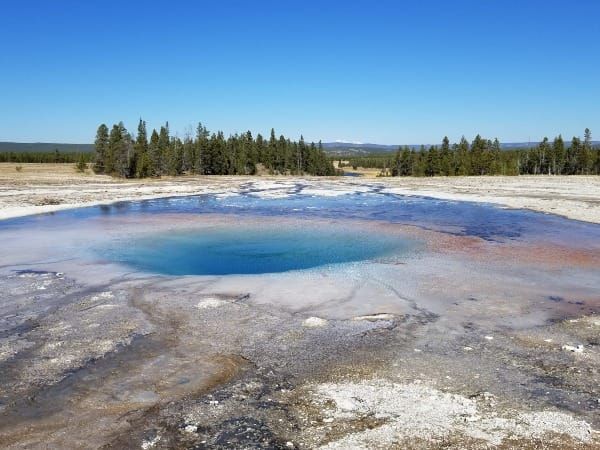 A Year (1872) in Three Acts