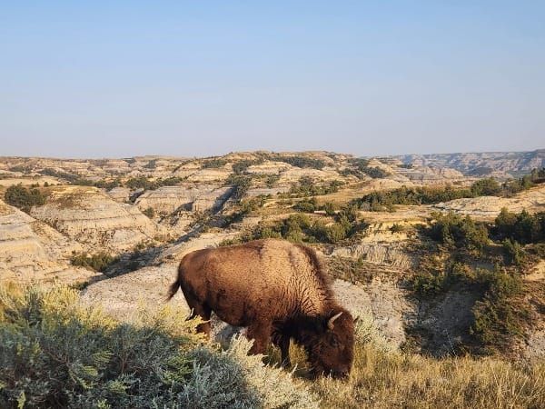 Favorites from a Year of Parks