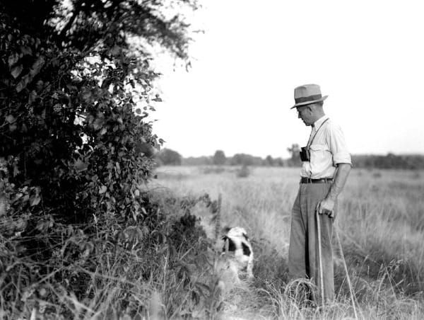 A Deeper Conservation Vision