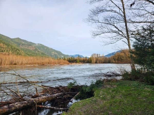 The Week that Got Away