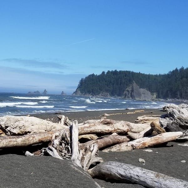 The Untrammeled Beach