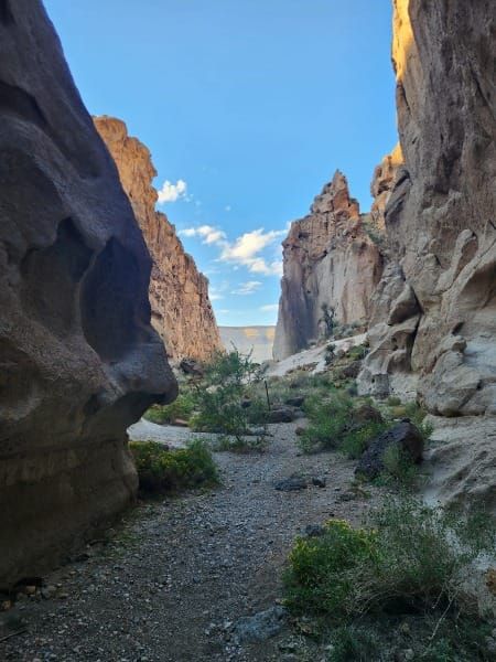 Unconfined in the Desert